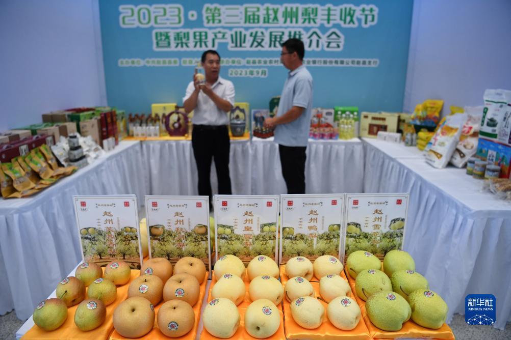春风棋牌官网
